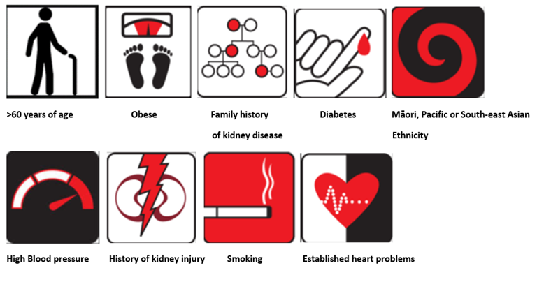 Risk Graphic